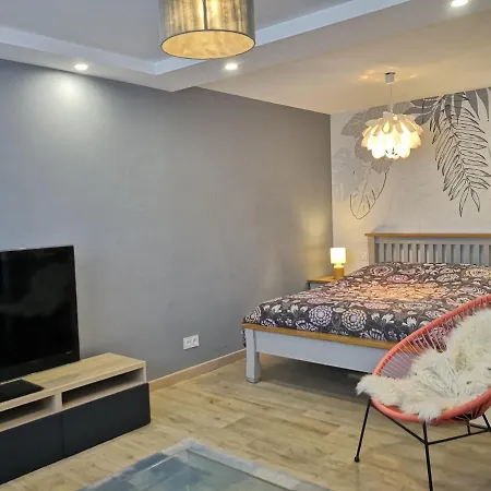 Petit Paradis Cosy T1 Bis 40M2 Independent Studio En Maison Avec Jardin & Parking Gratuit Apartment Caluire-et-Cuire