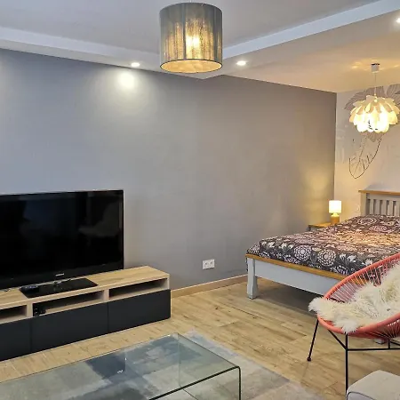 Apartment Petit Paradis Cosy T1 Bis 40M2 Independent Studio En Maison Avec Jardin & Parking Gratuit