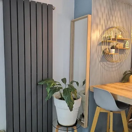 Apartment Petit Paradis Cosy T1 Bis 40M2 Independent Studio En Maison Avec Jardin & Parking Gratuit *