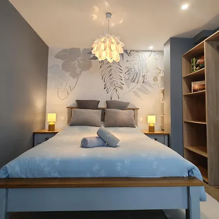 Apartment Petit Paradis Cosy T1 Bis 40M2 Independent Studio En Maison Avec Jardin & Parking Gratuit Caluire-et-Cuire